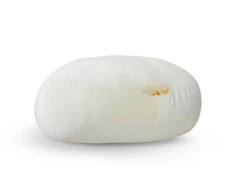 resize_1000x1000_cover_img-1741147891537-cuddlepillow-cream-01
