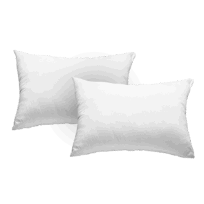 resize_1000x1000_cover_img-1747110024294-หมอนโพลีเอสเตอร์-แพ็คคู่-พื้นใส-2