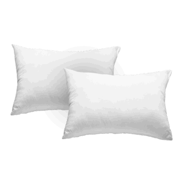 resize_1000x1000_cover_img-1747110024294-หมอนโพลีเอสเตอร์-แพ็คคู่-พื้นใส-2