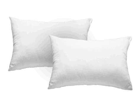 resize_1000x1000_cover_img-1747110024294-หมอนโพลีเอสเตอร์-แพ็คคู่-พื้นใส-2