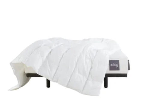 resize_447x447_cover_img-1742464962394-allseason-elasta-duvet-01