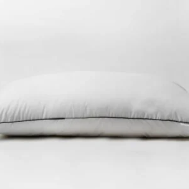 resize_447x447_cover_img-1746280672010-IMG_2761